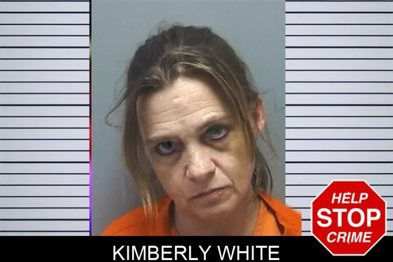 Kimberly White mugshot – Cherokee County , Georgia Kimberly White