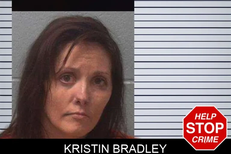 Kristin Bradley mugshot – Franklin County , Georgia Kristin Bradley
