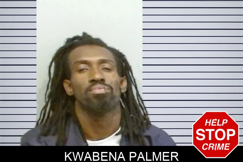 Kwabena Palmer mugshot – Fulton County , Georgia Kwabena Palmer mugshot