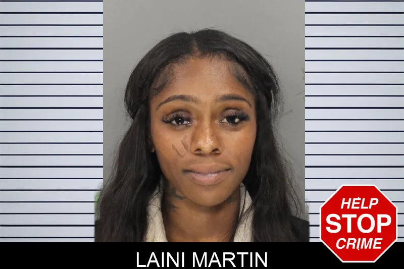 Laini Martin mugshot