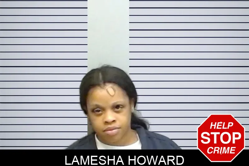 Lamesha Howard mugshot