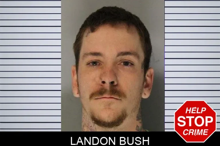 Landon Bush mugshot – Hall County , Georgia Landon Bush