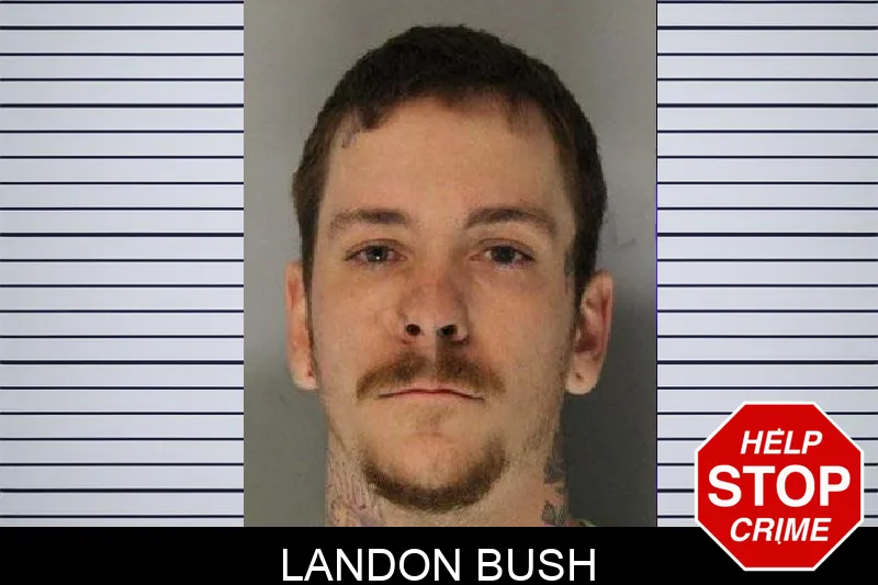 Landon Bush Mugshots