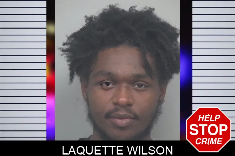 Laquette Wilson mugshot – Gwinnett County , Georgia Laquette Wilson mugshot