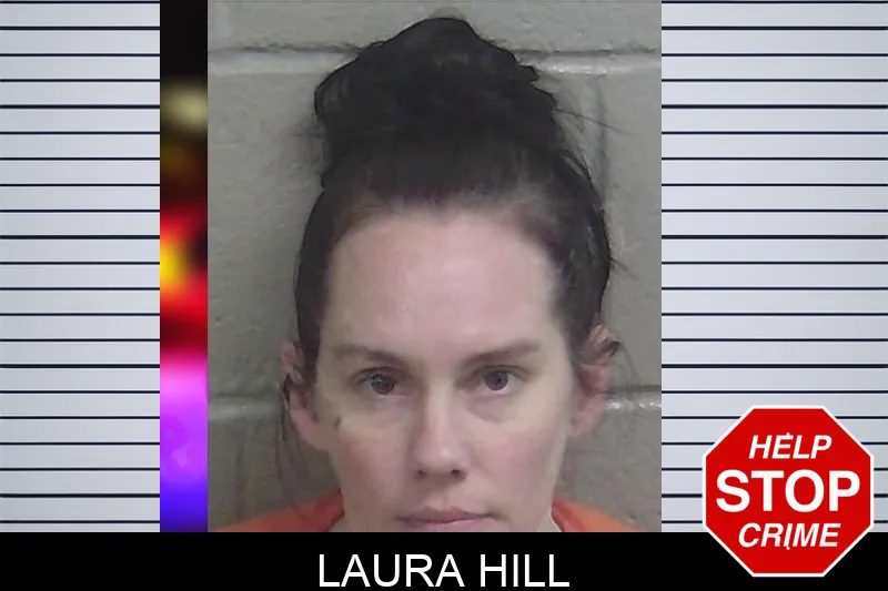 Laura Hill mugshot – Wayne County , Georgia Laura Hill mugshot