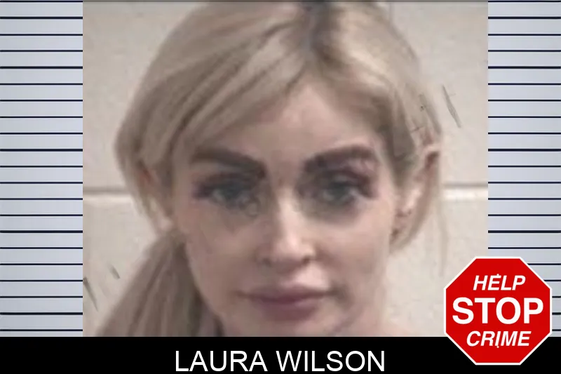Laura Wilson Mugshots