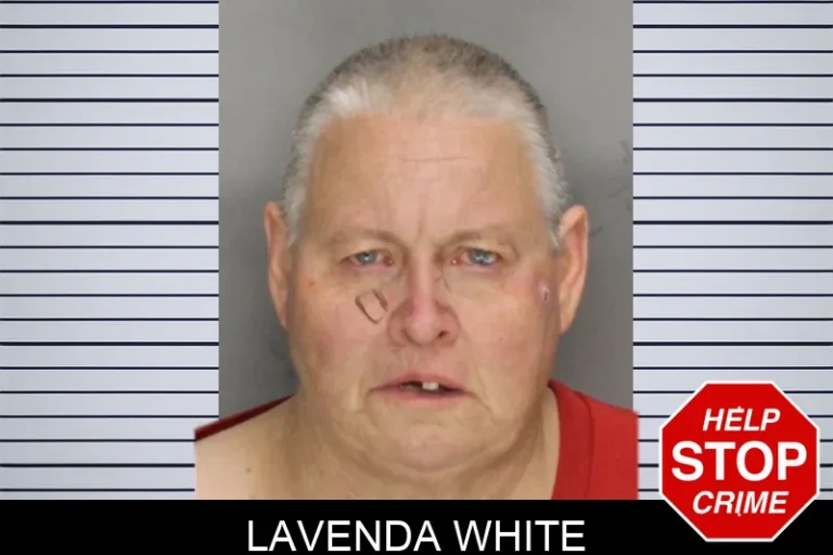 Lavenda White