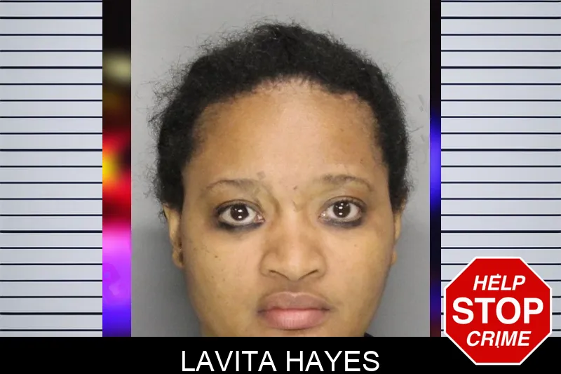 Lavita Hayes mugshot – Cobb County , Georgia Lavita Hayes mugshot
