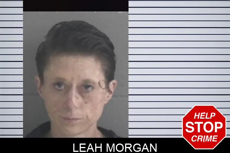 Leah Morgan Mugshots