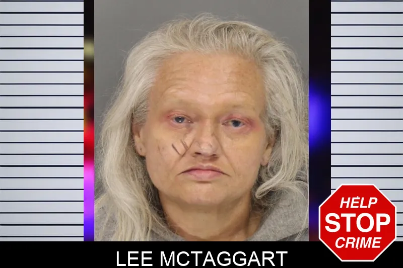Lee McTaggart mugshot – Cobb County , Georgia Lee McTaggart mugshot