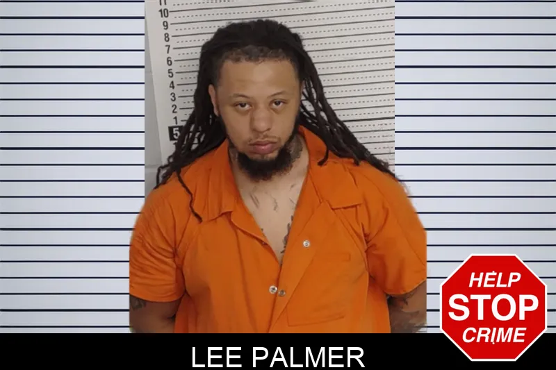 Lee Palmer Mugshots