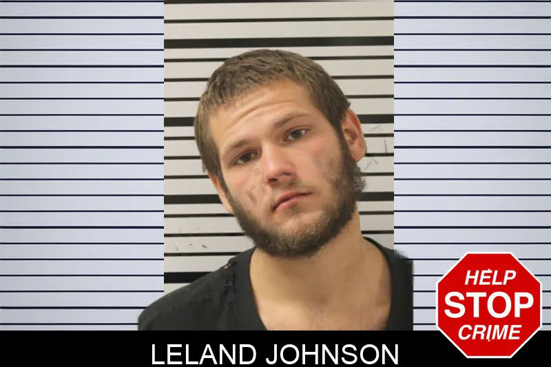 Leland Johnson