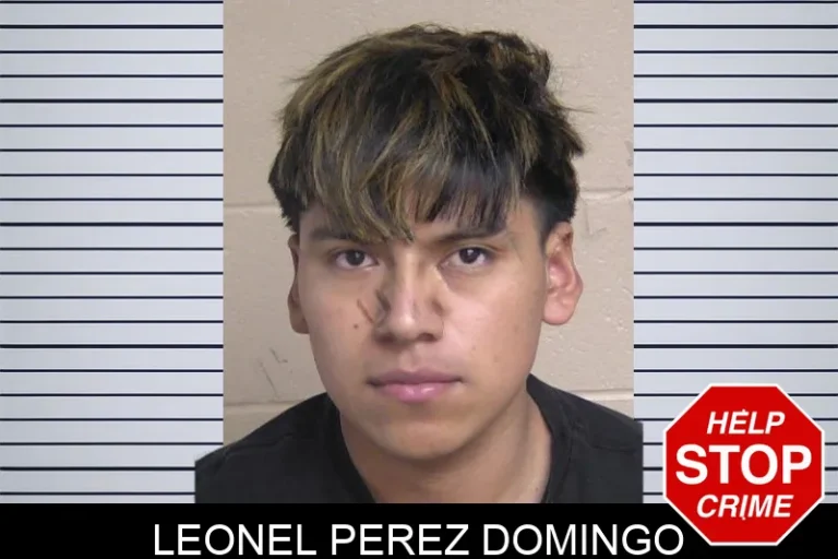 Leonel Perez Domingo