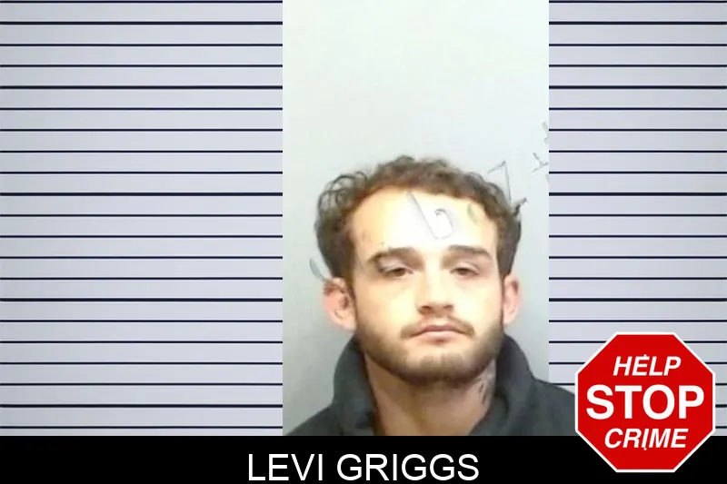 Levi Griggs mugshot – Fulton County , Georgia Levi Griggs mugshot