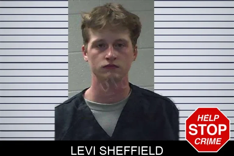 Levi Sheffield mugshot – Gilmer County , Georgia Levi Sheffield