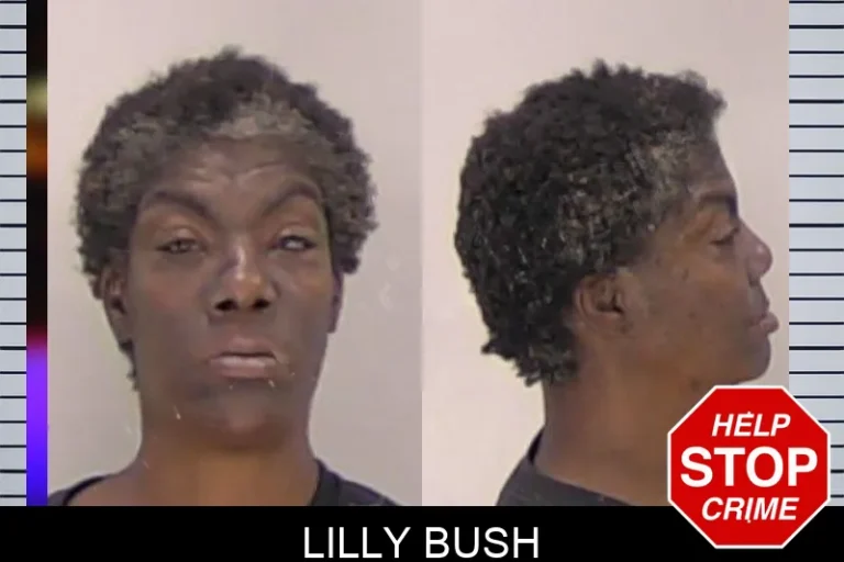 Lilly Bush