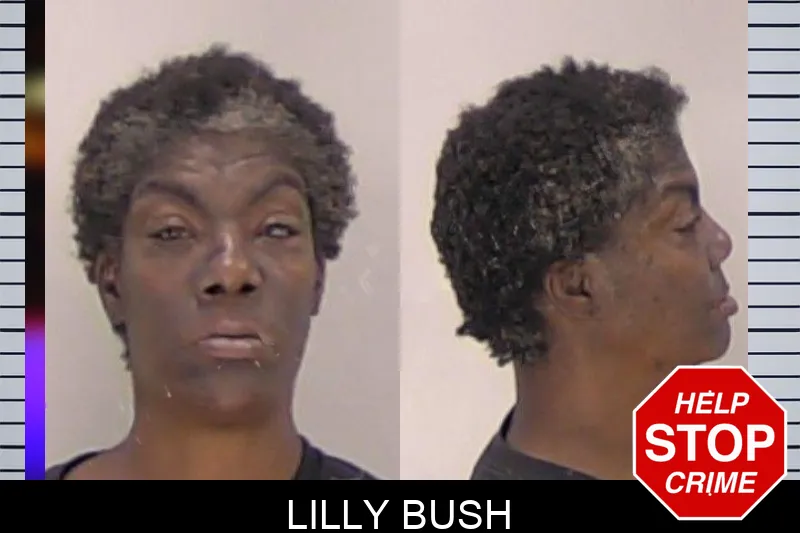 Lilly Bush mugshot