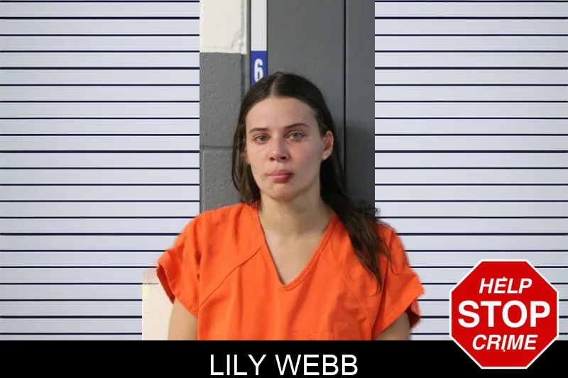 Lily Webb