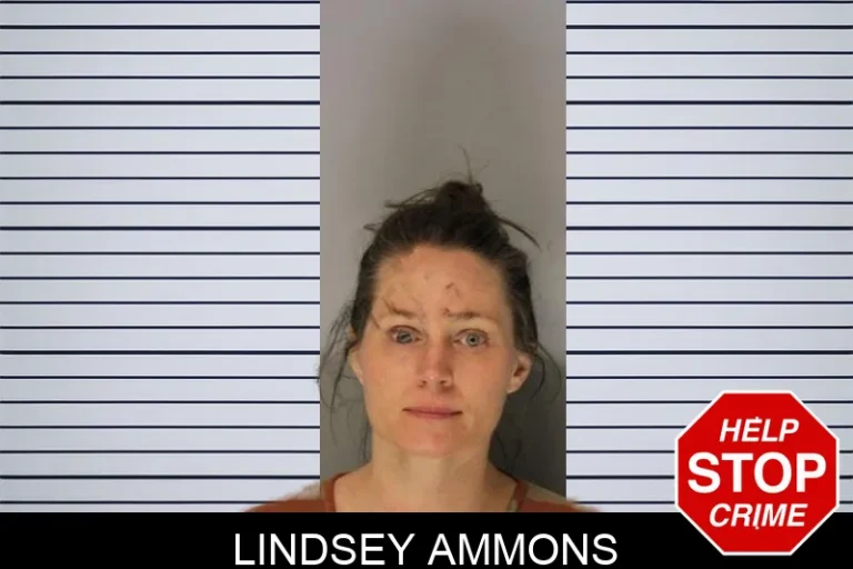 Lindsey Ammons