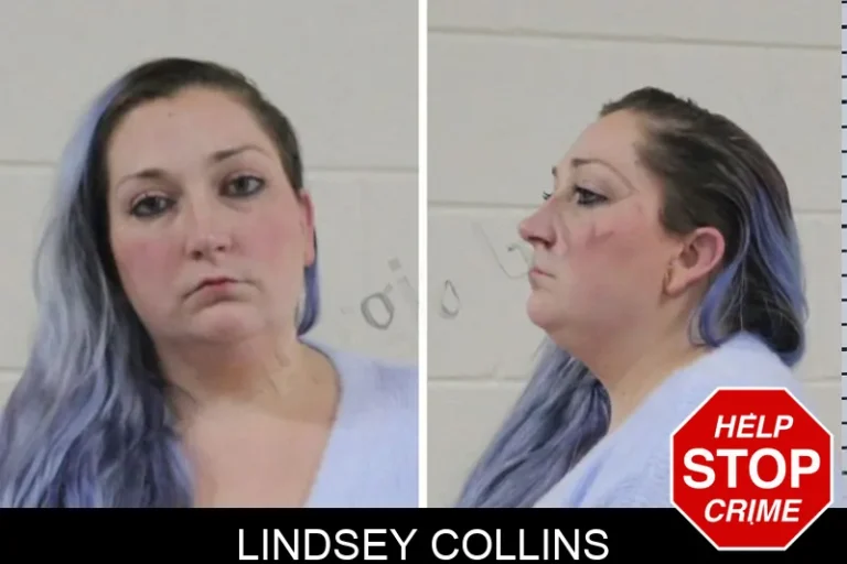 Lindsey Collins mugshot – Houston County , Georgia Lindsey Collins