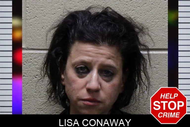 Lisa Conaway mugshot – Haralson County , Georgia Lisa Conaway