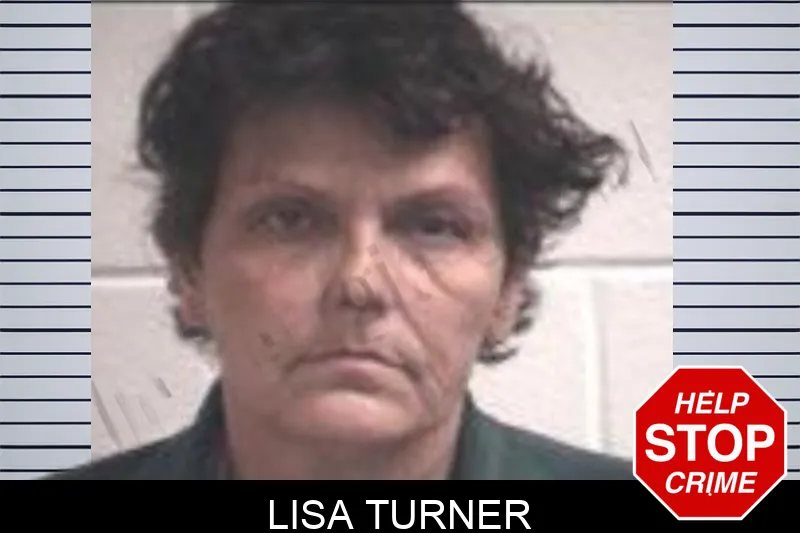 Lisa Turner mugshot – Henry County , Georgia Lisa Turner mugshot