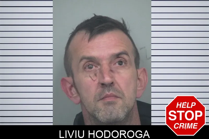 Liviu Hodoroga Mugshots