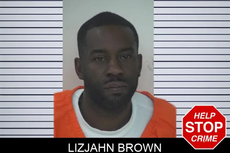 Lizjahn Brown mugshot – Fayette County , Georgia Lizjahn Brown