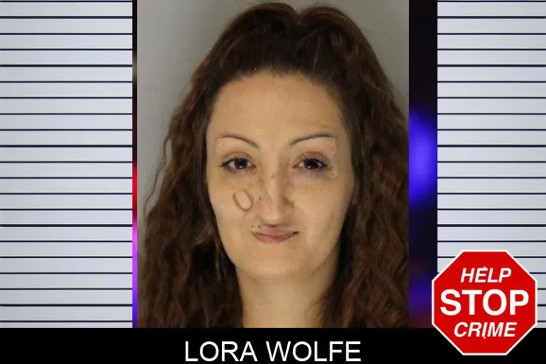 Lora Wolfe mugshot – Hall County , Georgia Lora Wolfe