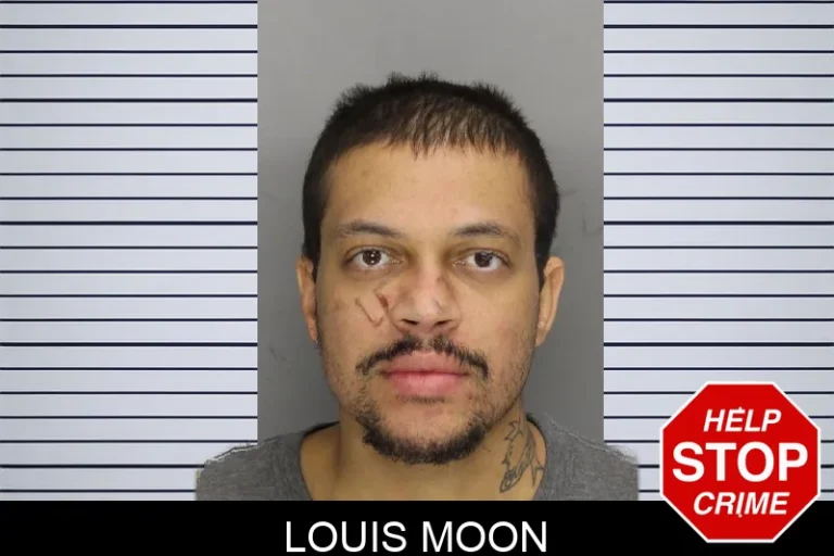 Louis Moon