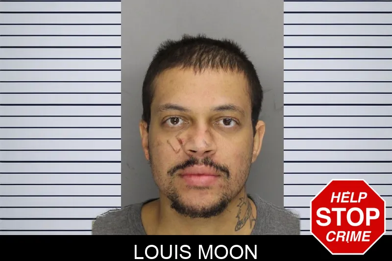 Louis Moon mugshot – Cobb County , Georgia Louis Moon mugshot