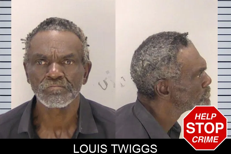 Louis Twiggs