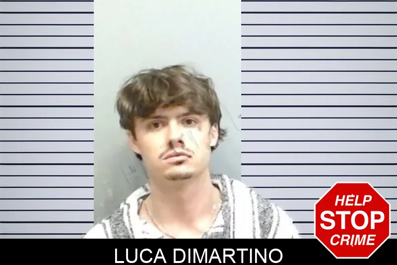Luca Dimartino mugshot – Fulton County , Georgia Luca Dimartino mugshot