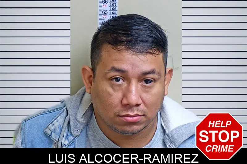 Luis Alcocer-Ramirez mugshot