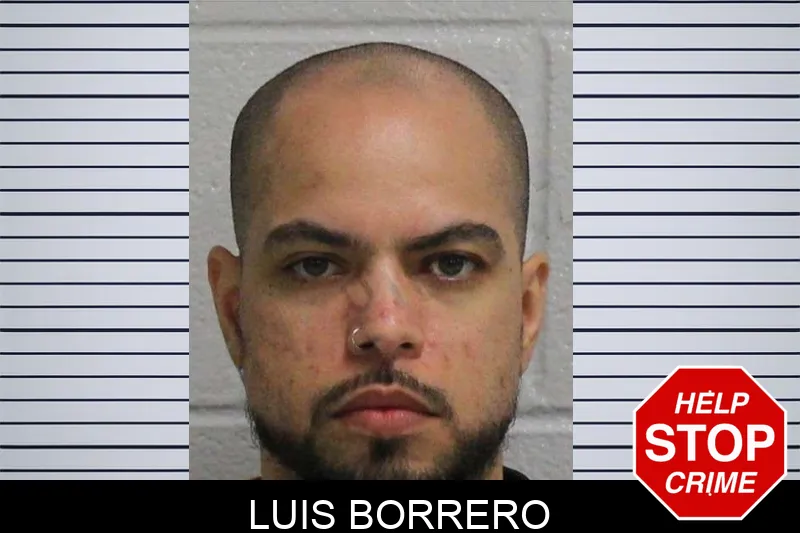 Luis Borrero Mugshots