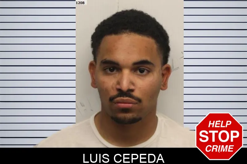 Luis Cepeda mugshot