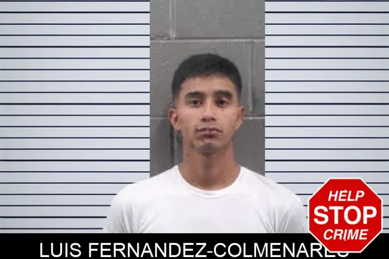 Luis Fernandez-Colmenares