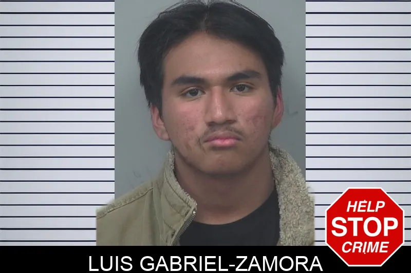 Luis Gabriel-Zamora mugshot