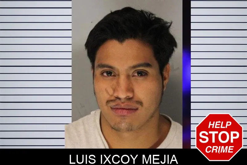 Luis Ixcoy Mejia Mugshots