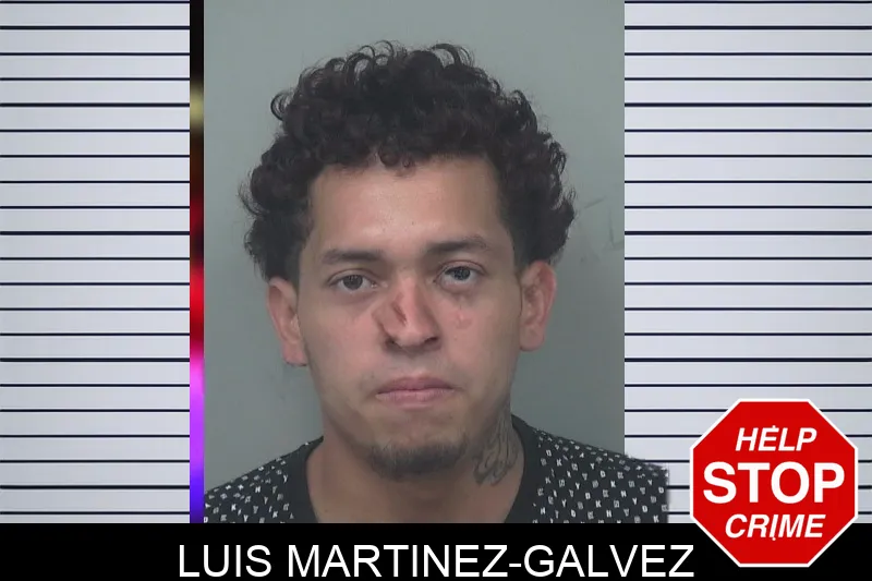 Luis Martinez-Galvez mugshot – Gwinnett County , Georgia Luis Martinez-Galvez mugshot