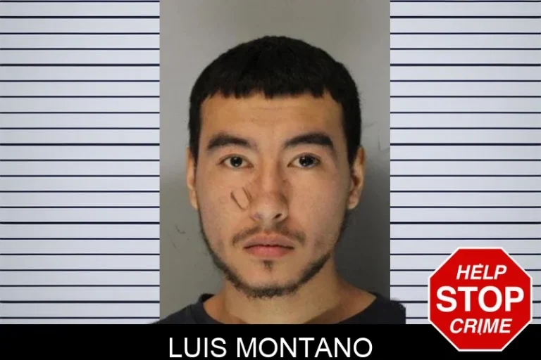 Luis Montano mugshot – Hall County , Georgia Luis Montano