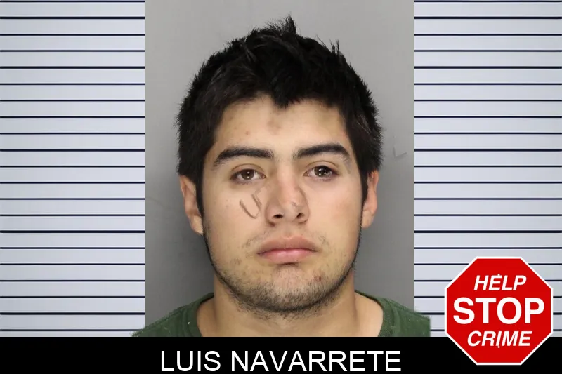 Luis Navarrete Mugshots