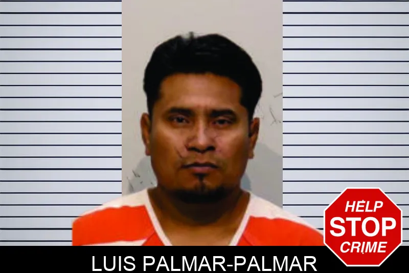 Luis Palmar-Palmar Mugshots