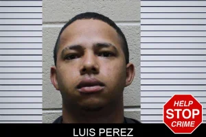 Luis Perez mugshot