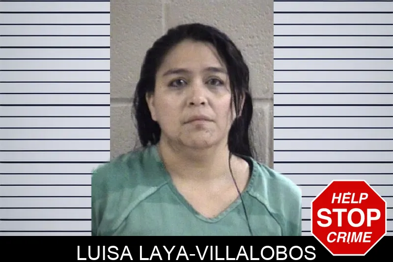 Luisa Laya-Villalobos Mugshots