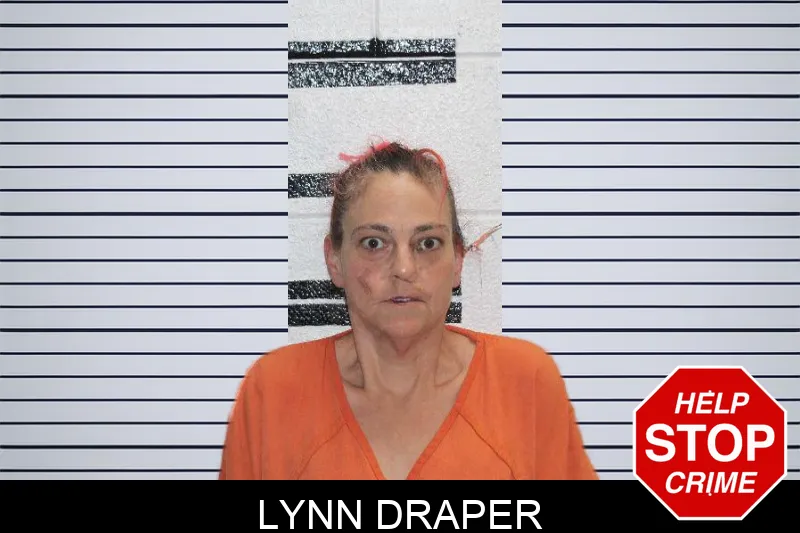 Lynn Draper