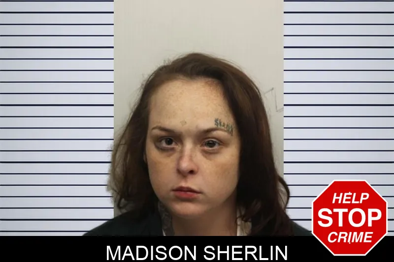 Madison Sherlin mugshot