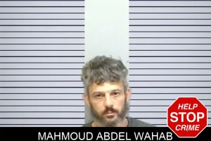 Mahmoud Abdel Wahab mugshot