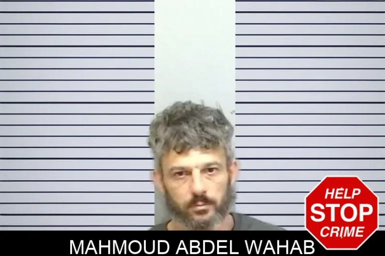 Mahmoud Abdel Wahab