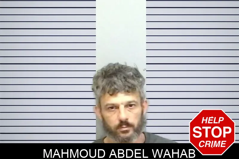 Mahmoud Abdel Wahab mugshot